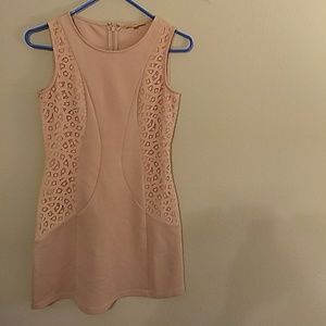 Gianni Bini Dress